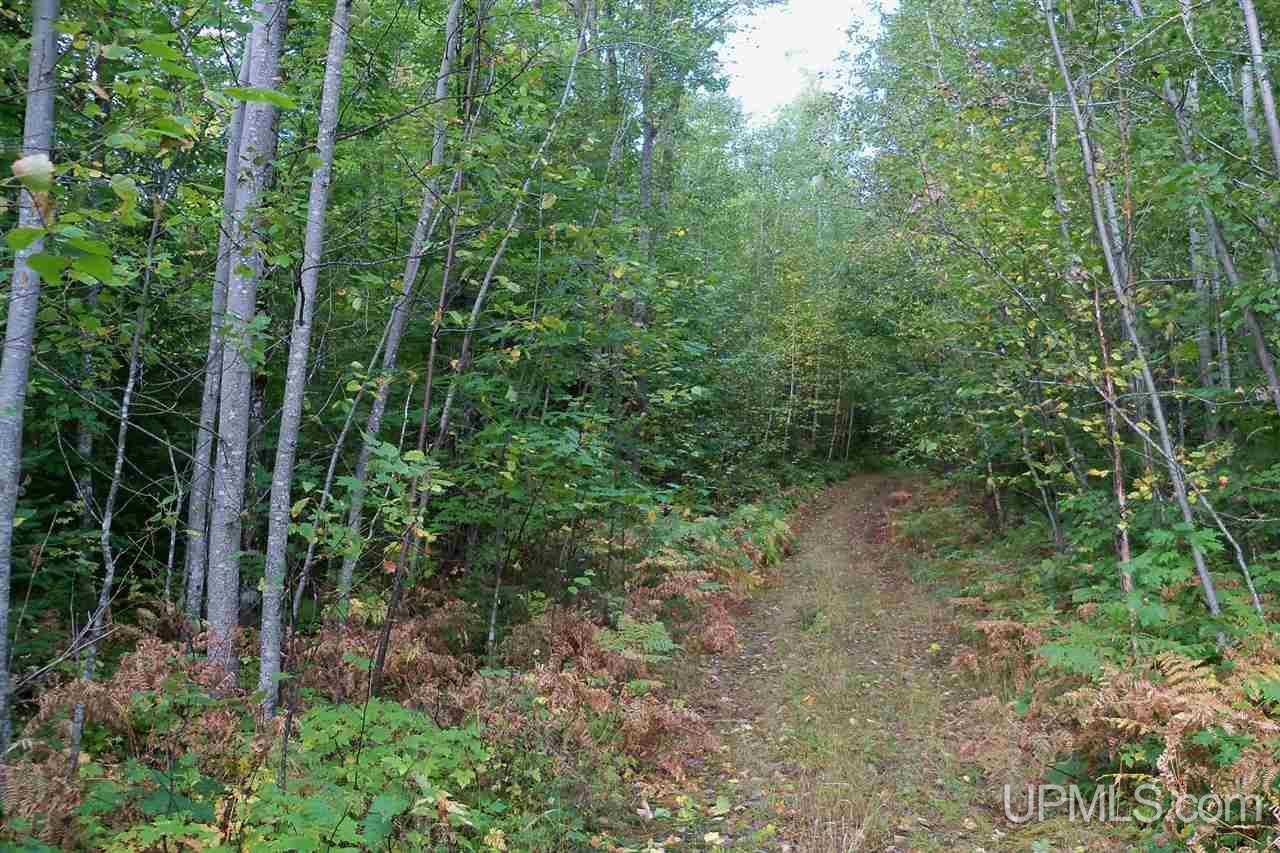 26 Co Road Negaunee, MI 49866 - Photo 7 of 31