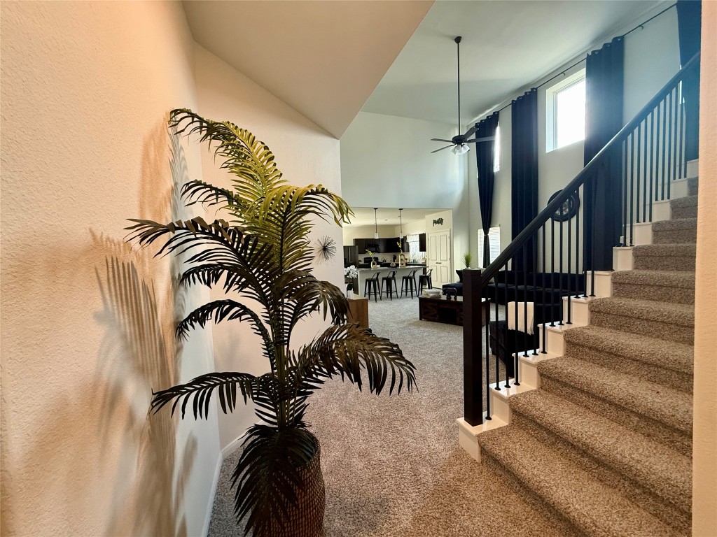 527 Baobab Way Crosby, TX 77532 - Photo 3 of 50