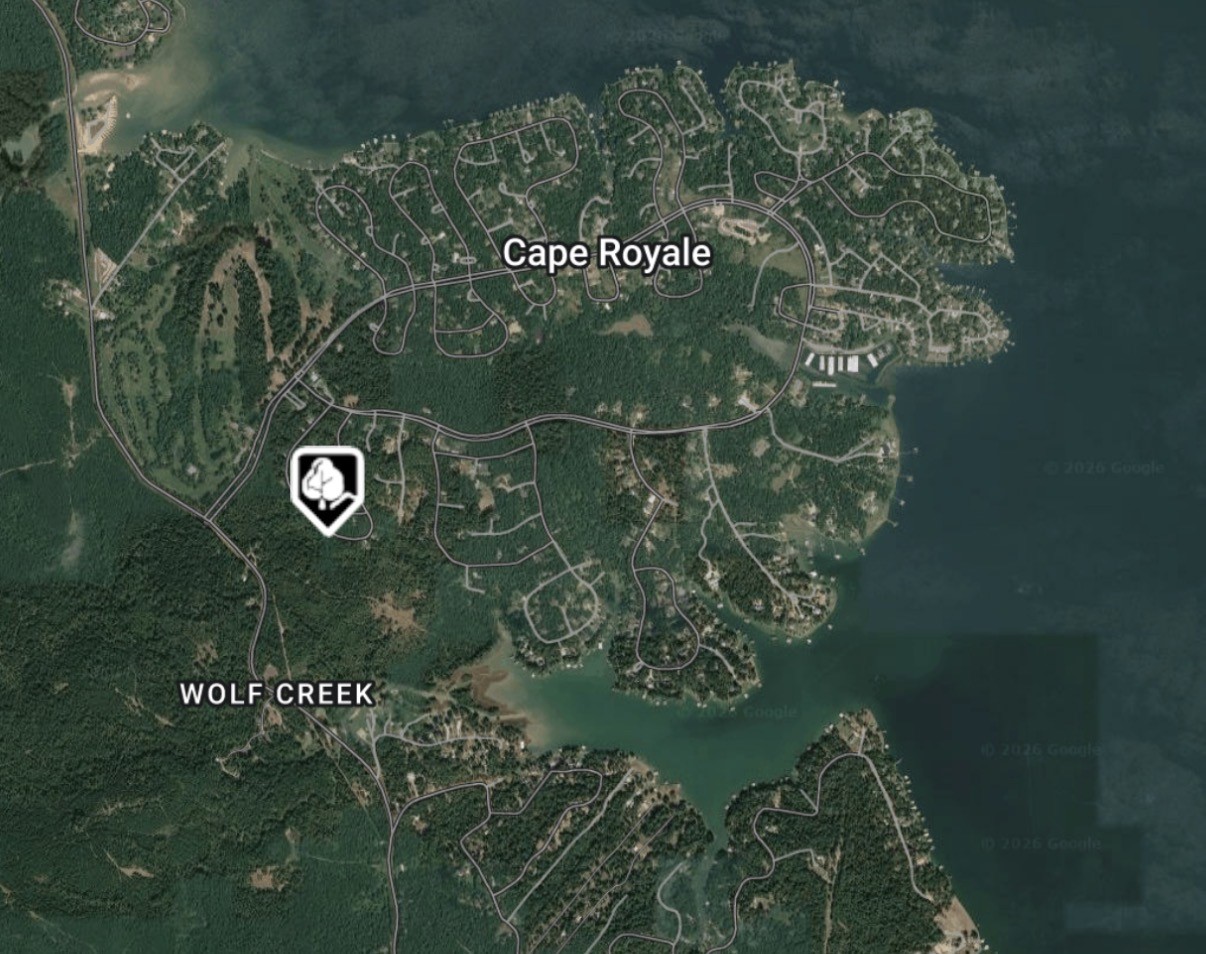 126 Green Tree Drive Coldspring, TX 77331 - Photo 3 of 6 a view of a bunch of flowers and trees