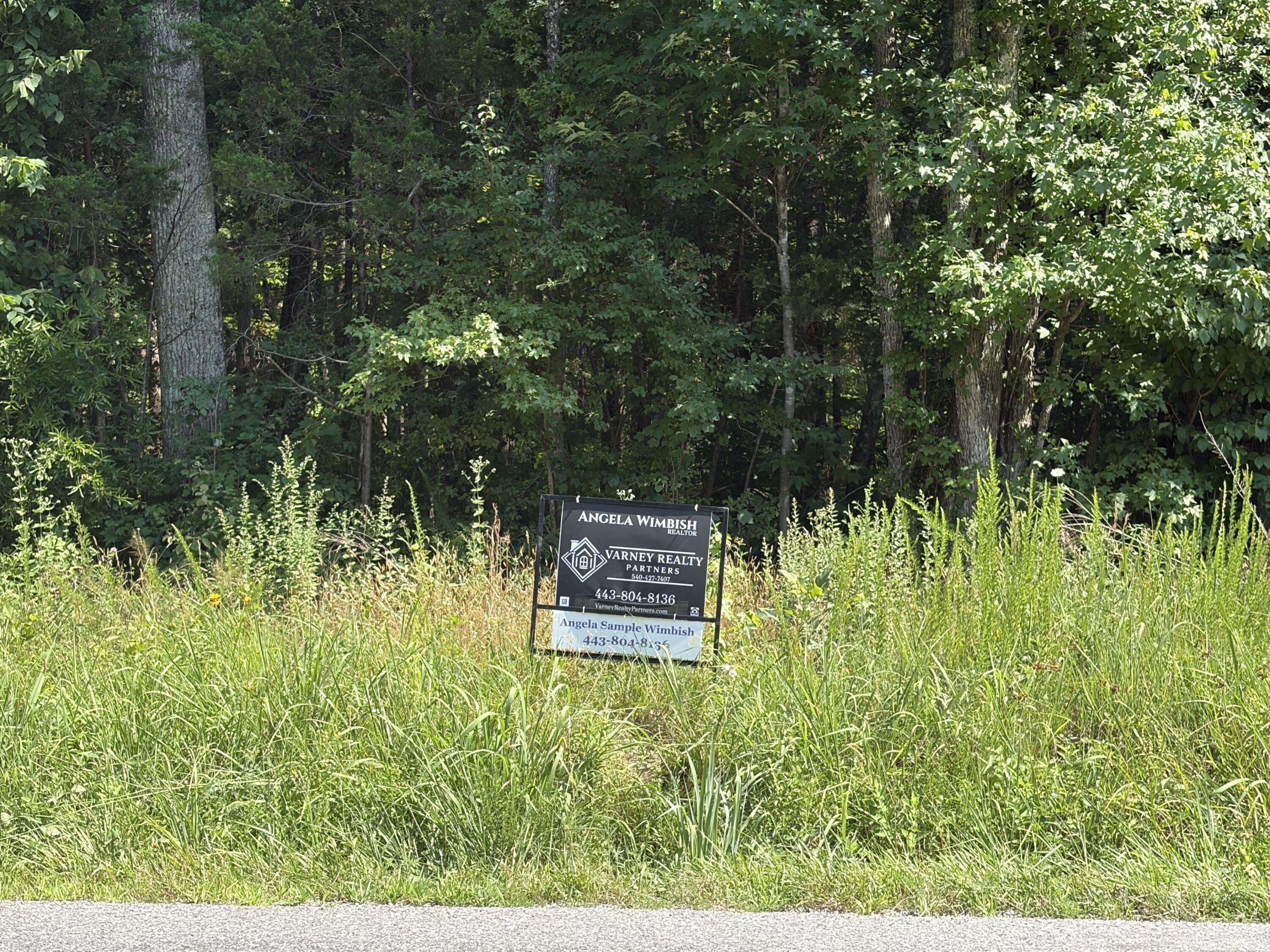 0 Free State Road Green Bay, VA 23954 - Photo 2 of 4 IMG_0810