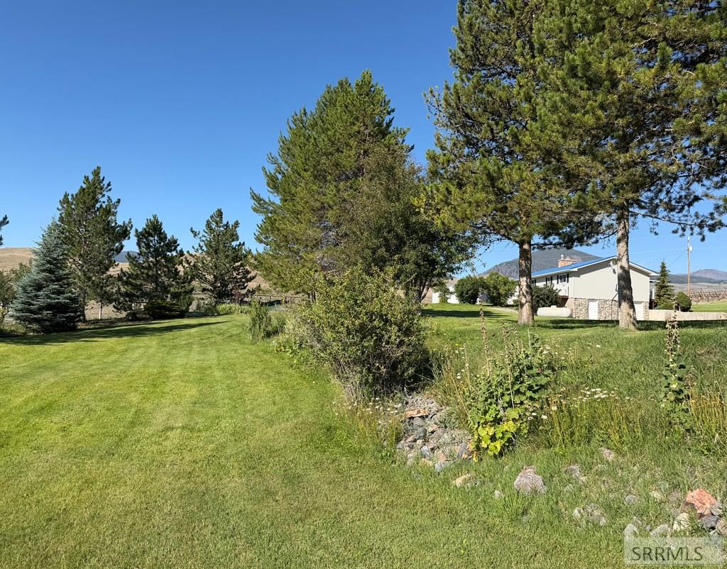 32 Haynes Creek Road Salmon, ID 83467 - Photo 60 of 64 Gallery Image 60