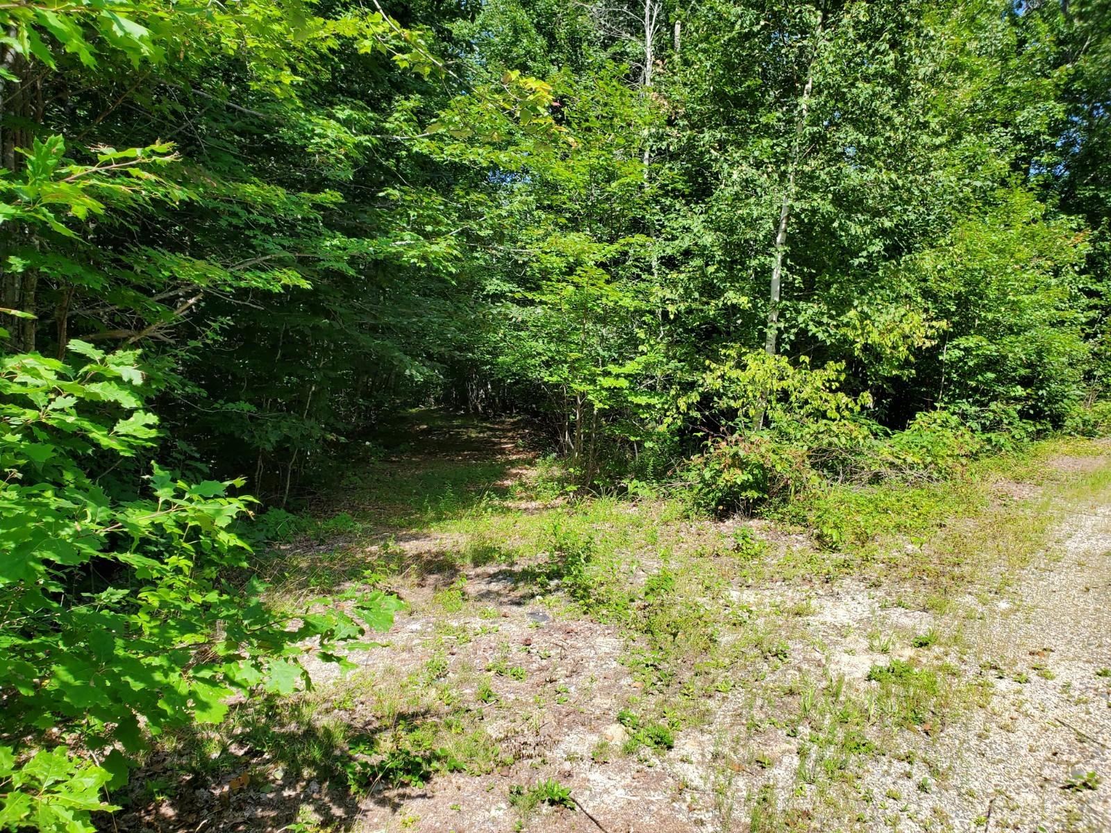 38 L Road Deblois, ME 04622 - Photo 8 of 13 20210816_105231