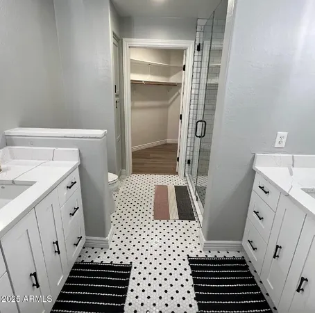 a bathroom with a sink and a shower