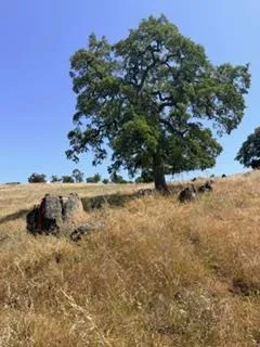 $55,700 | 9596 Paraiso Boulevard, La Grange, CA 95329