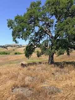 $55,700 | 9596 Paraiso Boulevard, La Grange, CA 95329