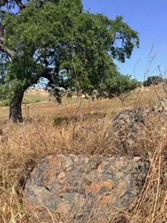 $55,700 | 9596 Paraiso Boulevard, La Grange, CA 95329