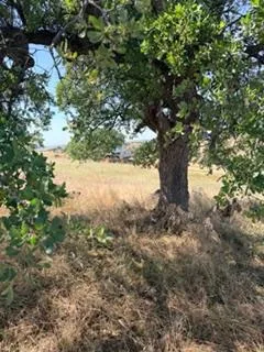 $55,700 | 9596 Paraiso Boulevard, La Grange, CA 95329