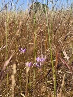 $55,700 | 9596 Paraiso Boulevard, La Grange, CA 95329