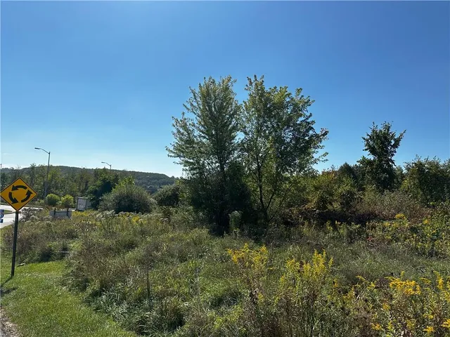 a view of a green field with lots of bushes