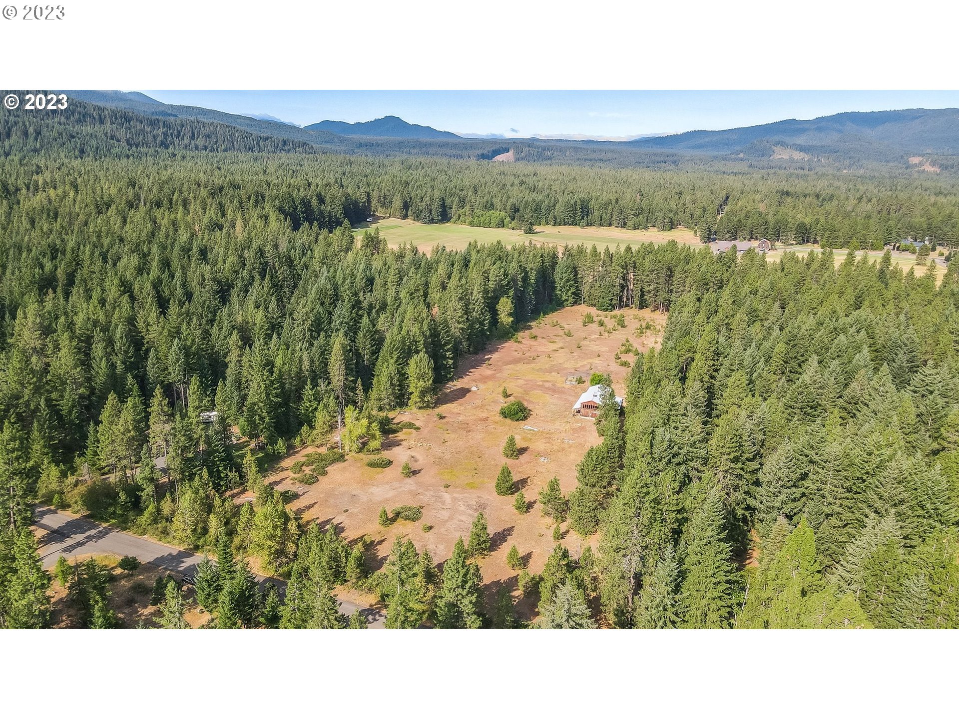 Lava Road Trout Lake, WA 98650 - Photo 3 of 7 a view of a lush green hillside and a mountain
