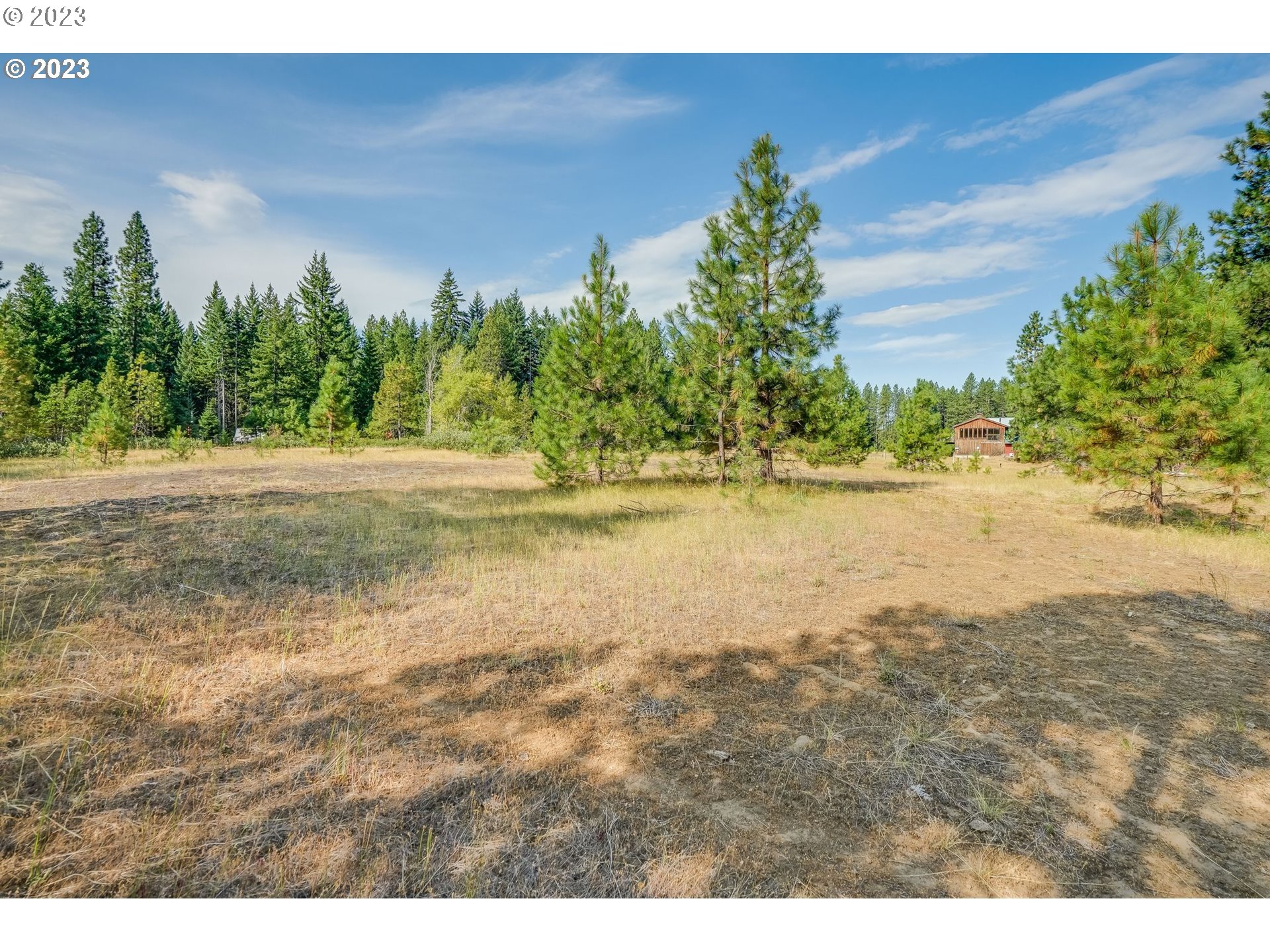 Lava Road Trout Lake, WA 98650 - Photo 4 of 7 a view of a lake with a yard