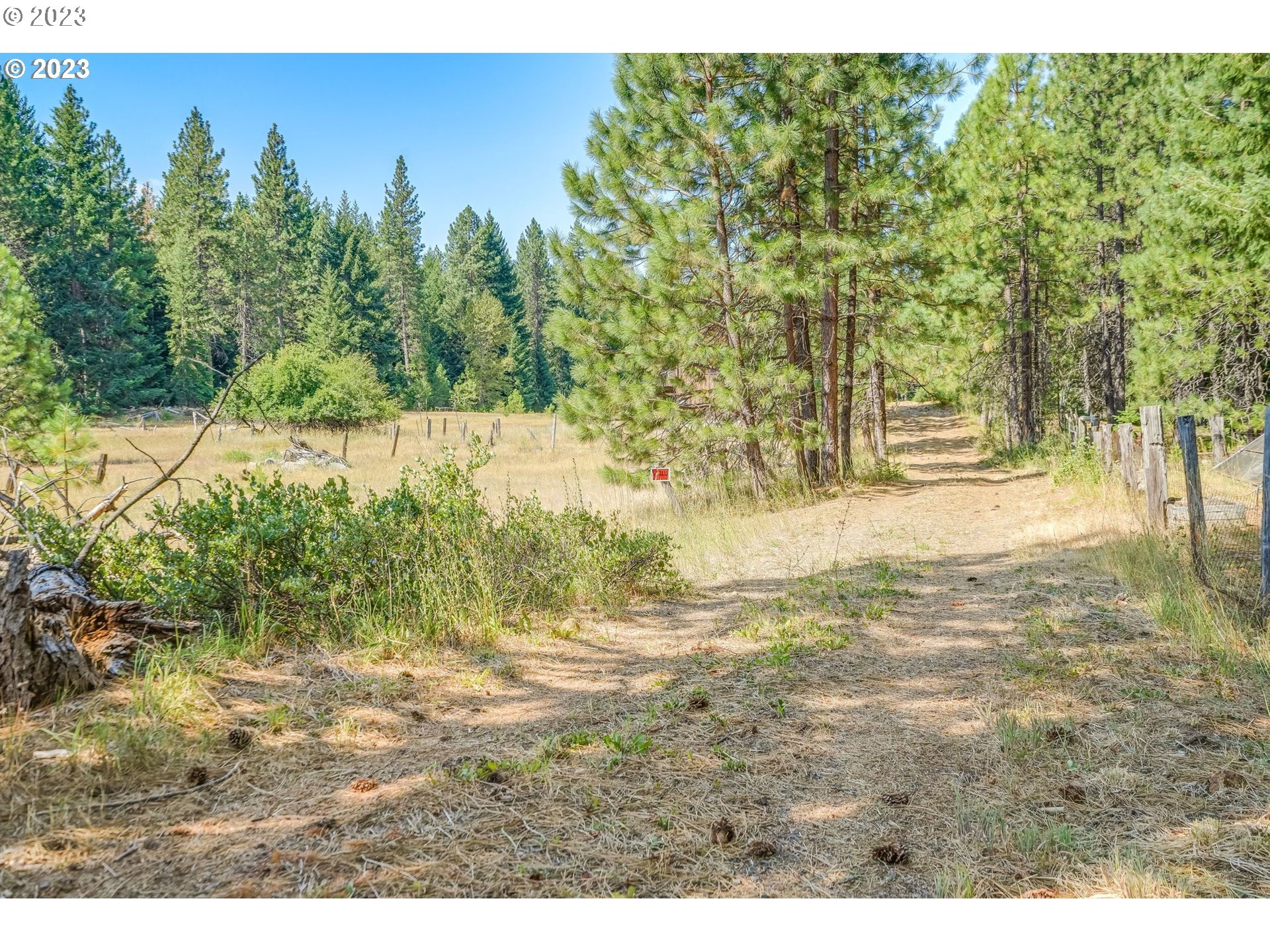 Lava Road Trout Lake, WA 98650 - Photo 7 of 7 a view of beach and yard