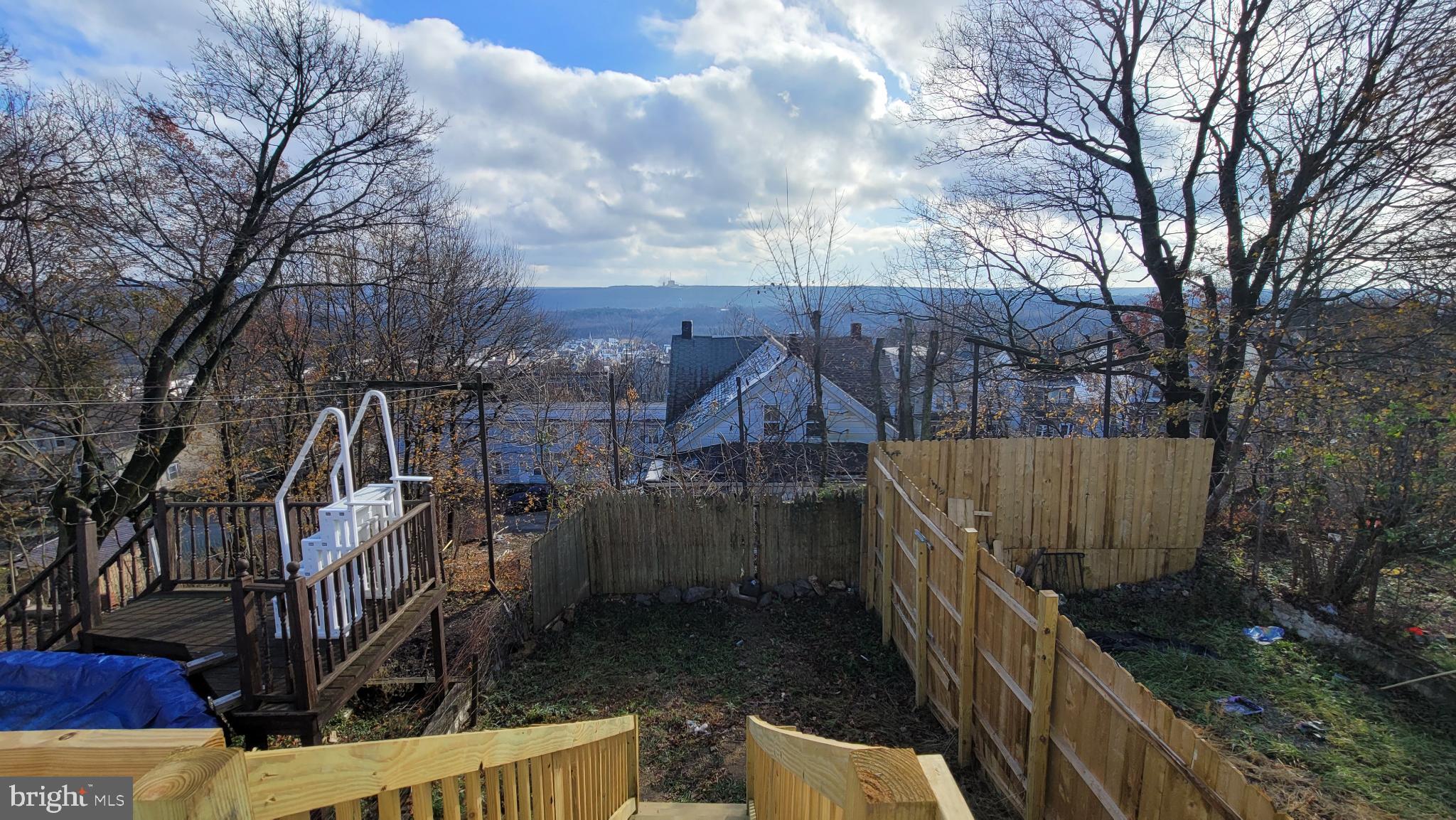 262 Indiana Avenue Shenandoah, PA 17976 - Photo 14 of 35 a view of street along with trees