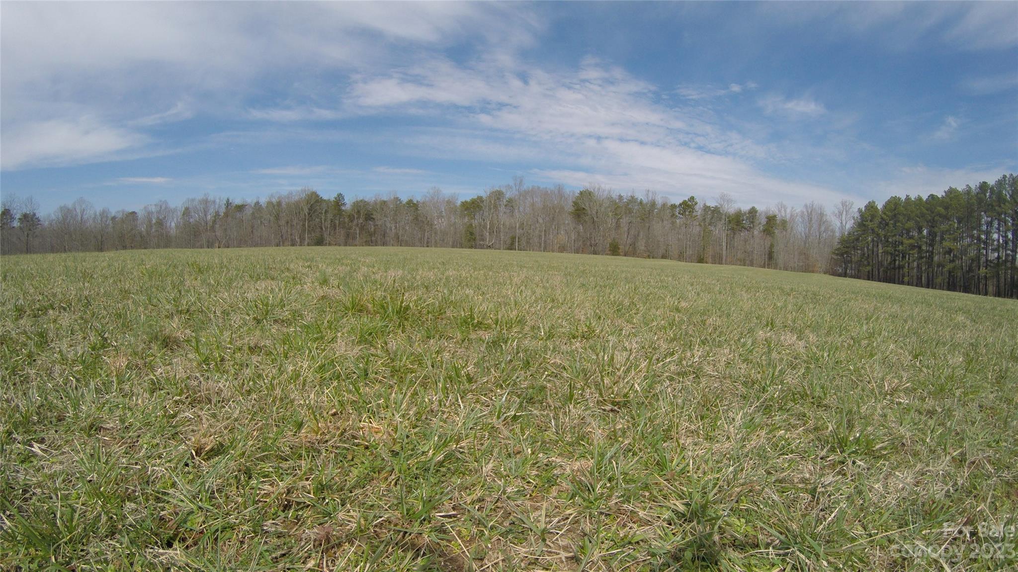 0 Collinsville Road Columbus, NC 28722 - Photo 2 of 48 a view of an outdoor space and a yard