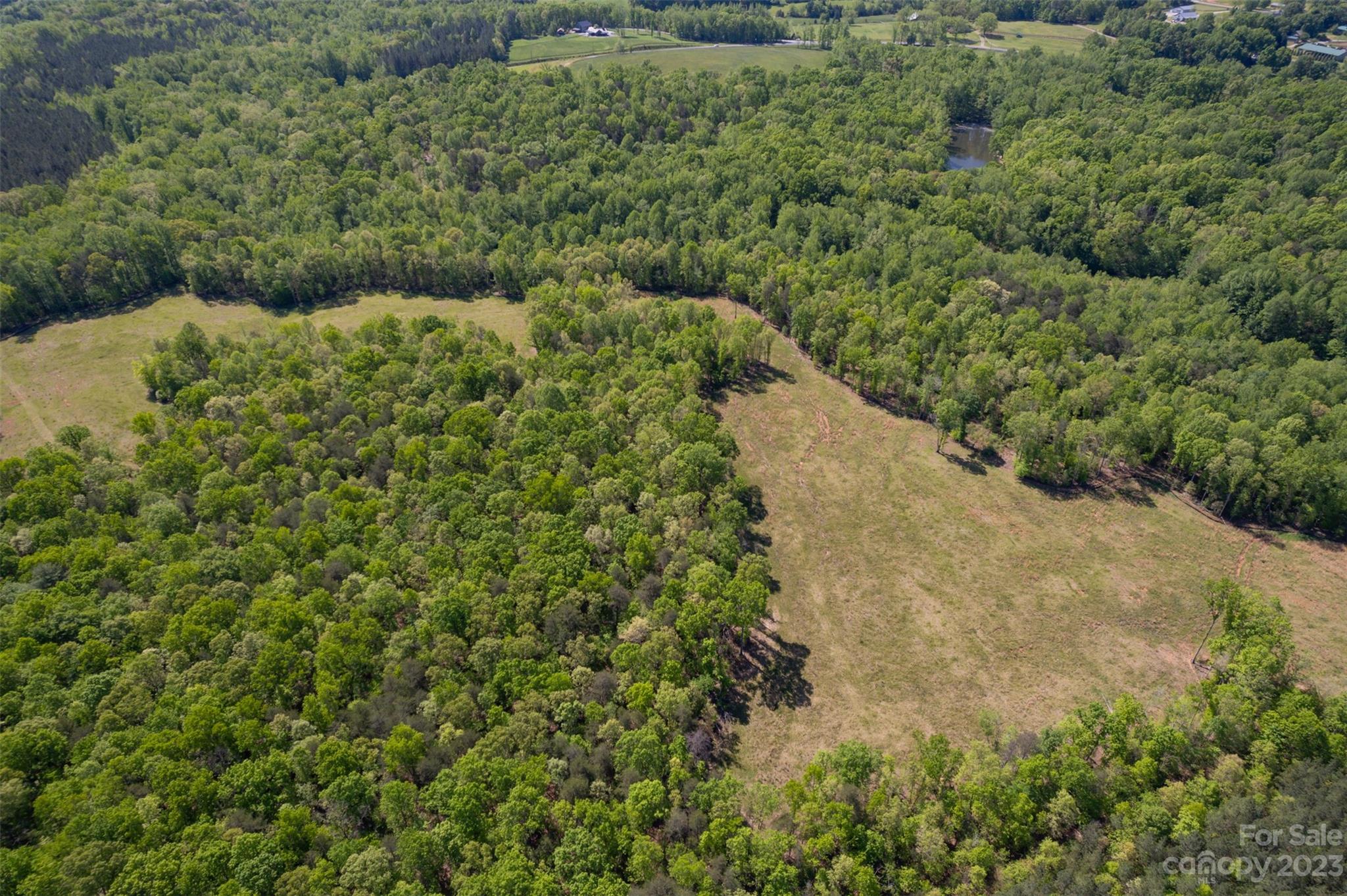 0 Collinsville Road Columbus, NC 28722 - Photo 35 of 48 a view of a forest with a building