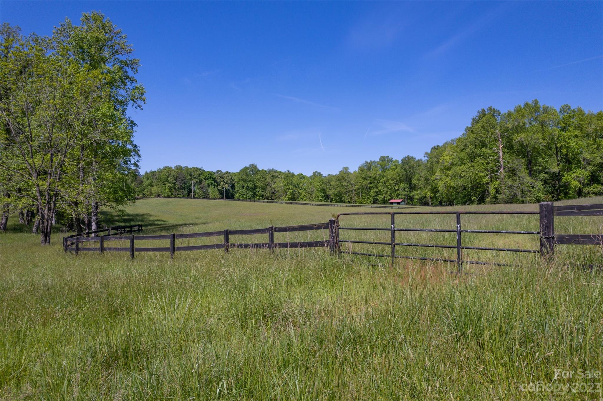 0 Collinsville Road Columbus, NC 28722 - Photo 44 of 48 a view of a back yard