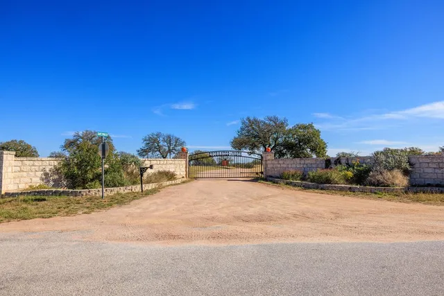 a row of trees with a big yard
