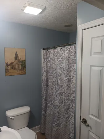 a white toilet sitting next to a shower curtain