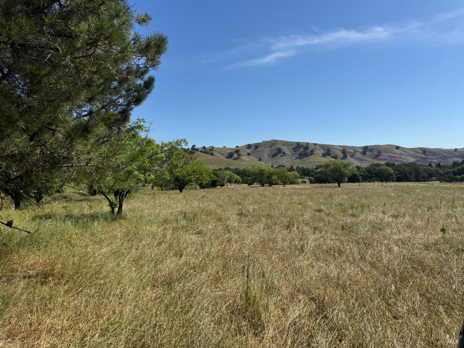5275 Lyon Road Fairfield, CA 94534 - Photo 11 of 41