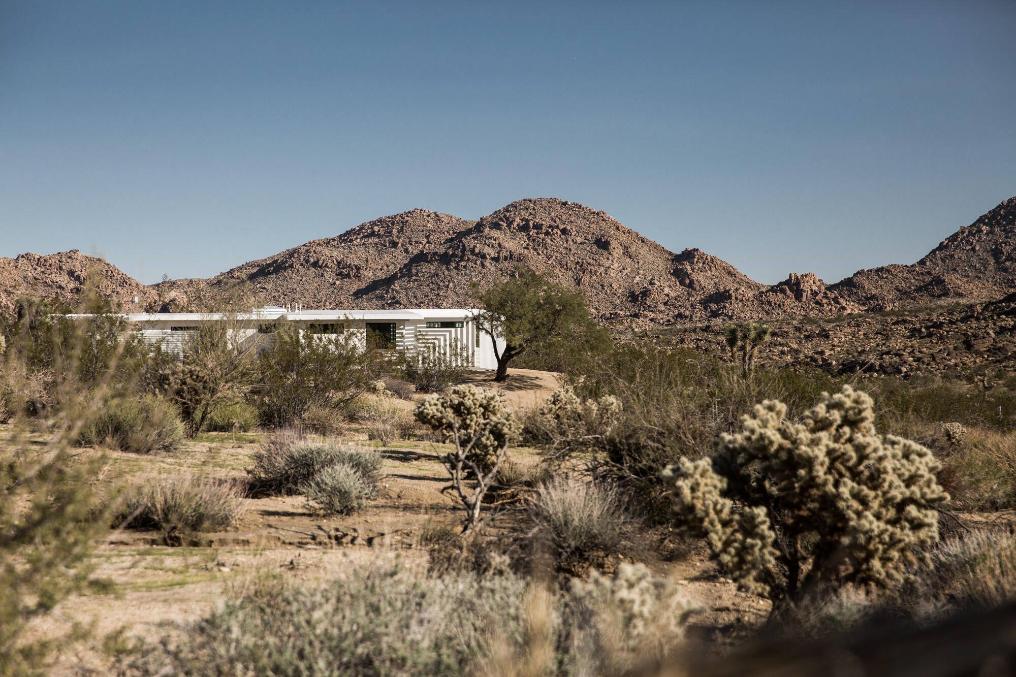 8256 Quail Springs Road Joshua Tree, CA 92252 - Photo 2 of 34 7