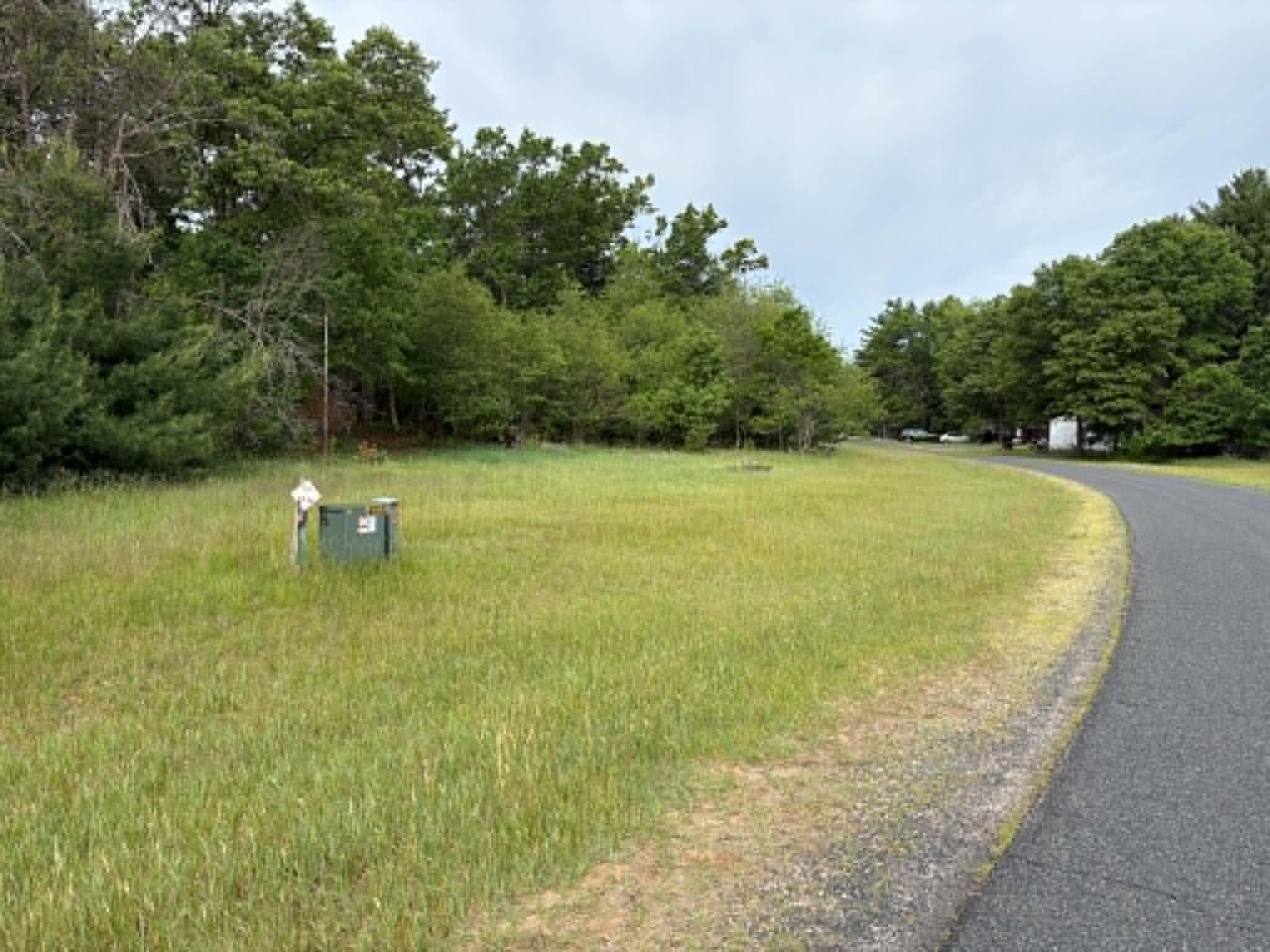 Lot 13 19th Friendship, WI 53934 - Photo 11 of 18
