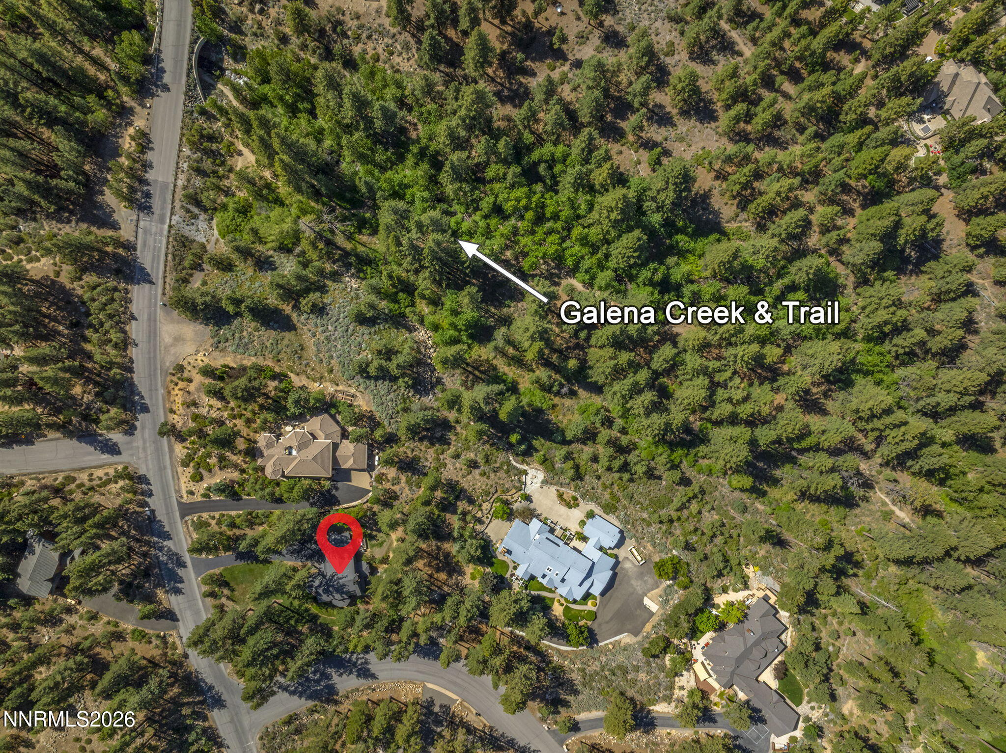 1255 Joy Lake Road Reno, NV 89511 - Photo 3 of 26 3-web-or-mls-DJI_0541