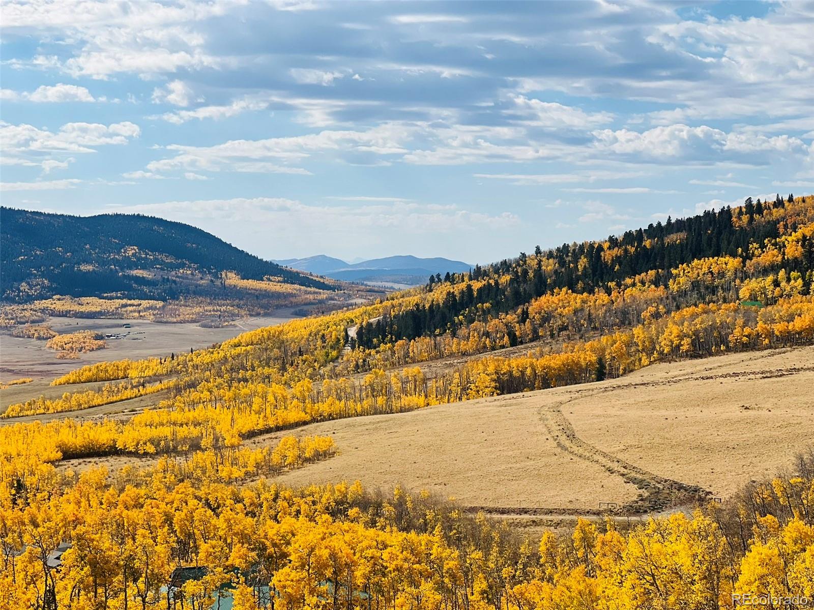 2861 High Creek Road Fairplay, CO 80440 - Photo 35 of 37