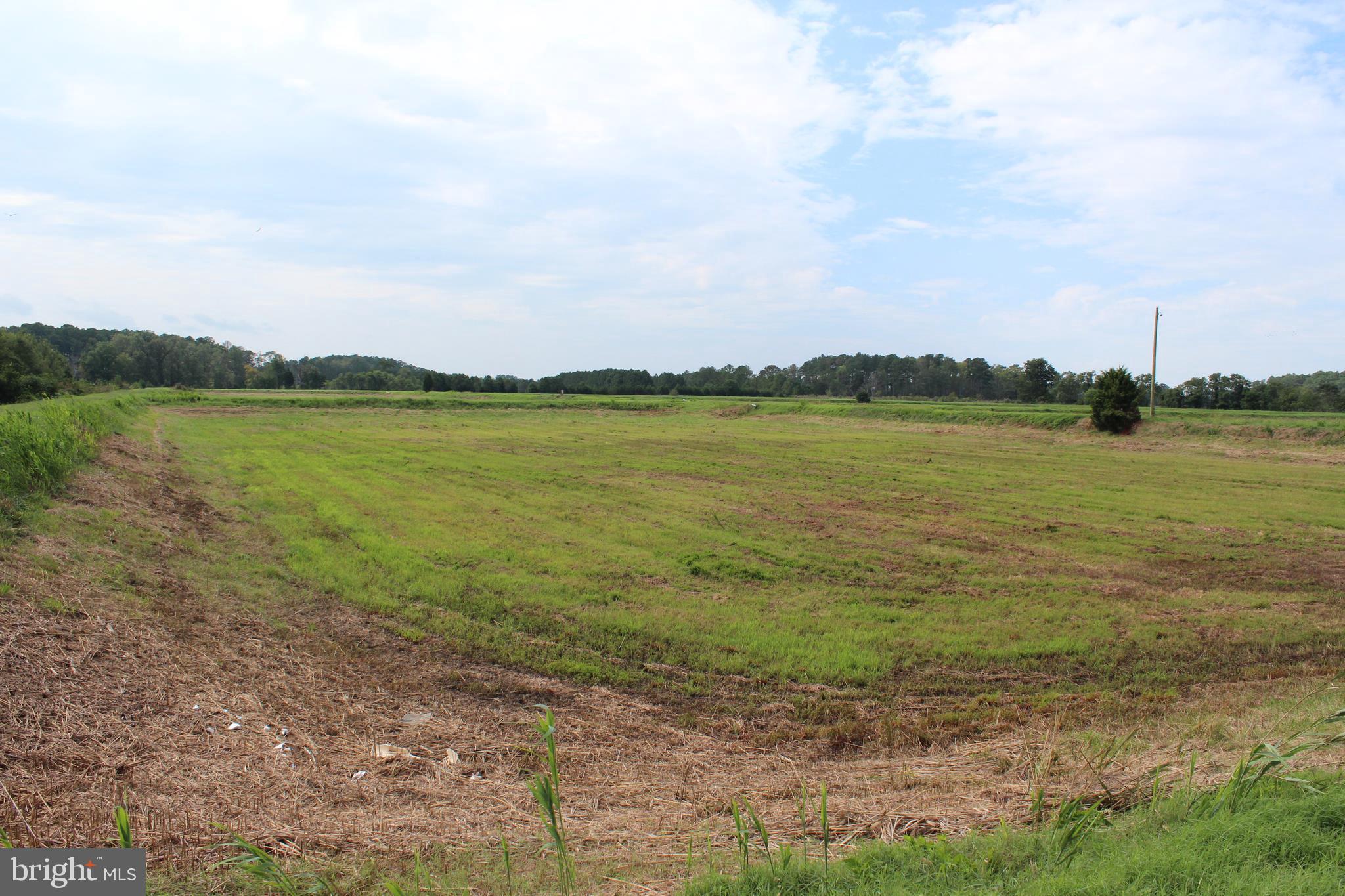 10674 Anderson Road Princess Anne, MD 21853 - Photo 11 of 35 Waterfowl Impoundments