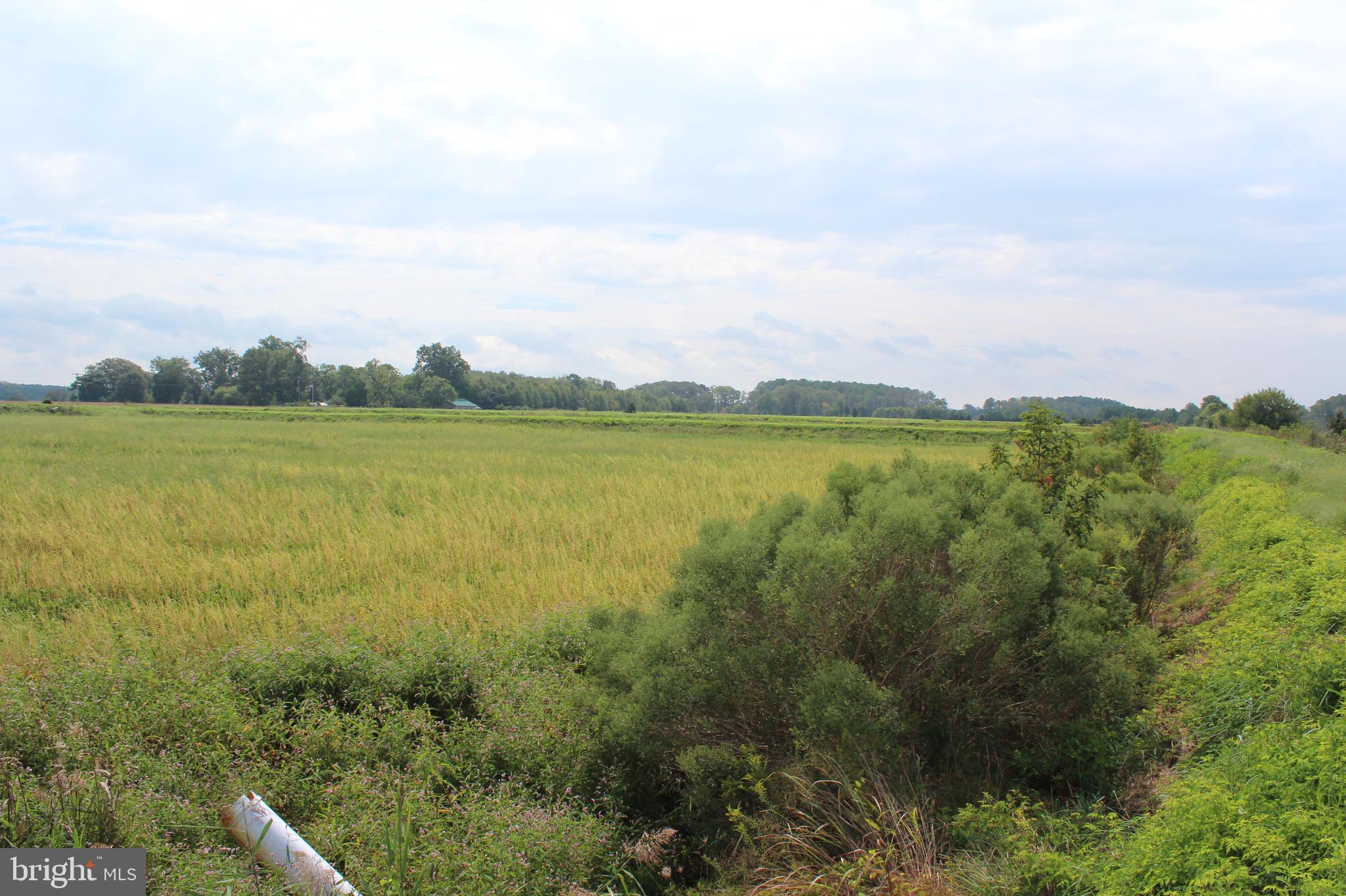 10674 Anderson Road Princess Anne, MD 21853 - Photo 16 of 35 Waterfowl Impoundments
