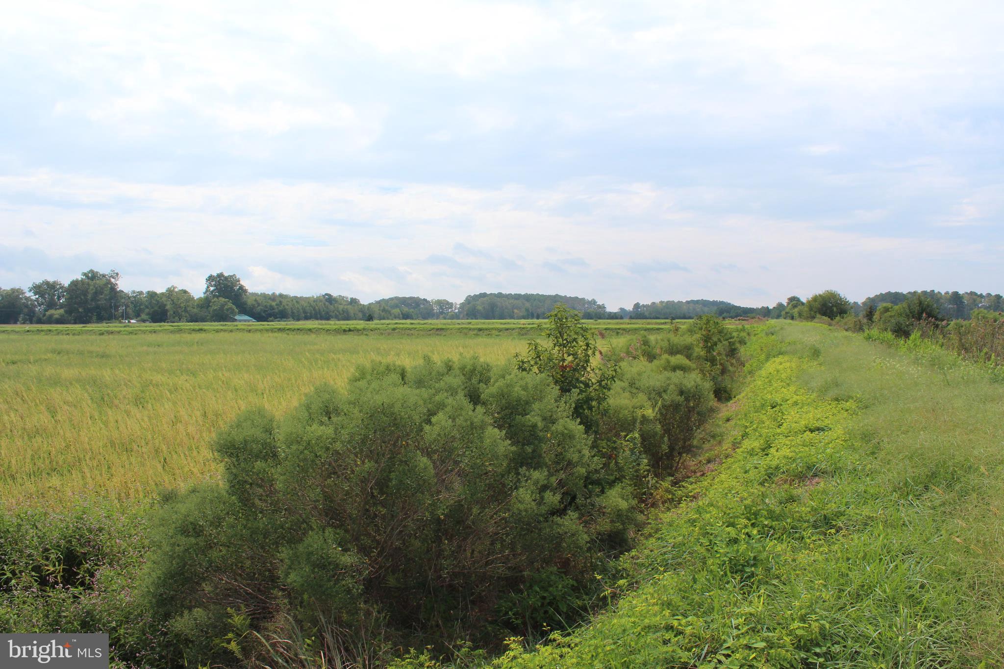 10674 Anderson Road Princess Anne, MD 21853 - Photo 17 of 35 Waterfowl Impoundments