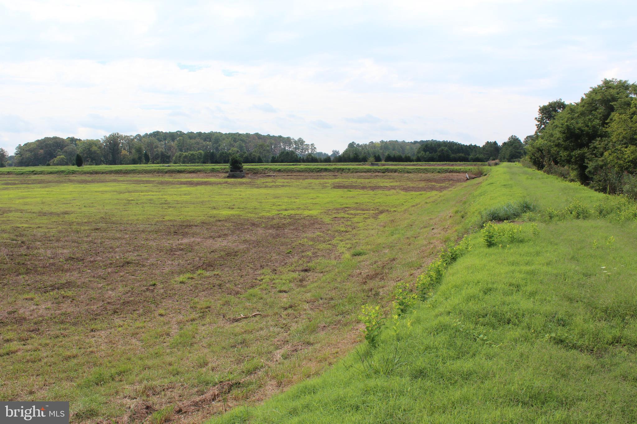 10674 Anderson Road Princess Anne, MD 21853 - Photo 18 of 35 Waterfowl Impoundments