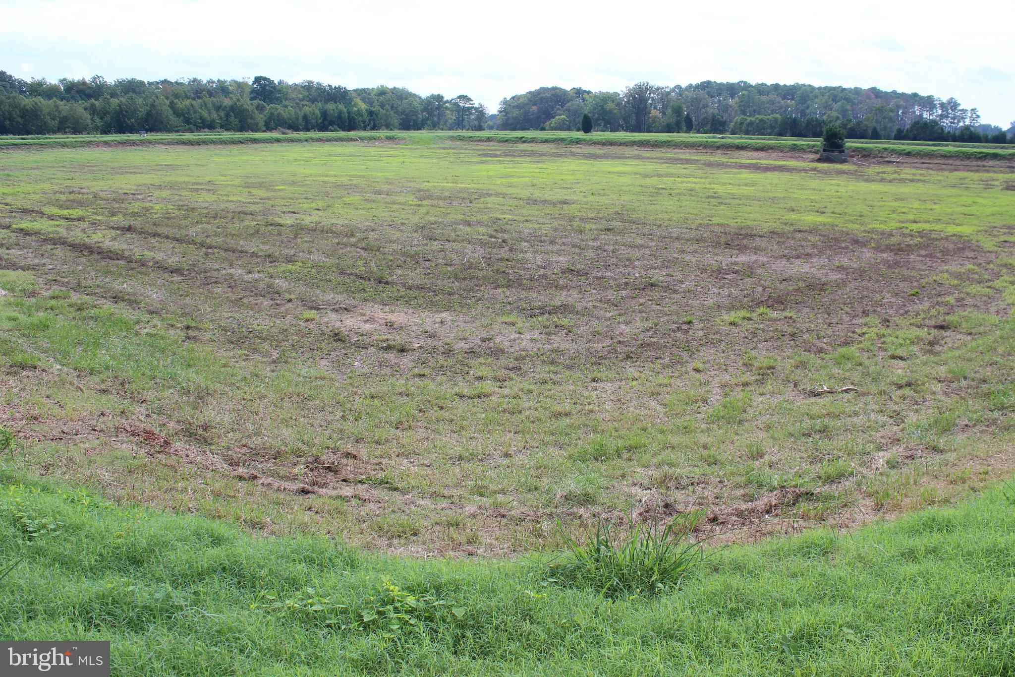 10674 Anderson Road Princess Anne, MD 21853 - Photo 19 of 35 Waterfowl Impoundments