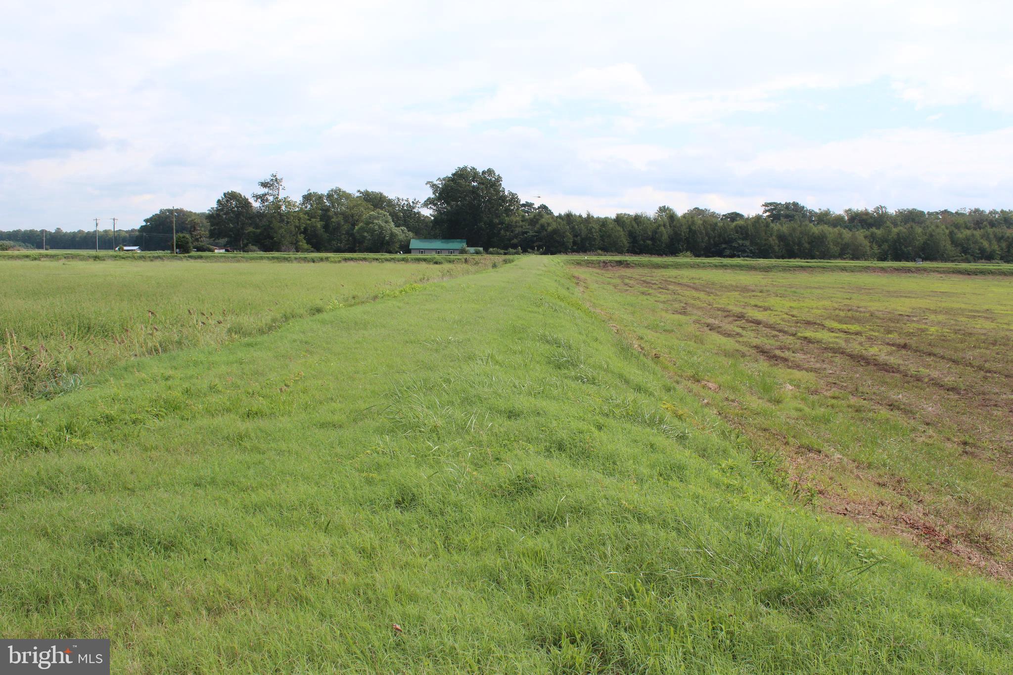 10674 Anderson Road Princess Anne, MD 21853 - Photo 20 of 35 Waterfowl Impoundments