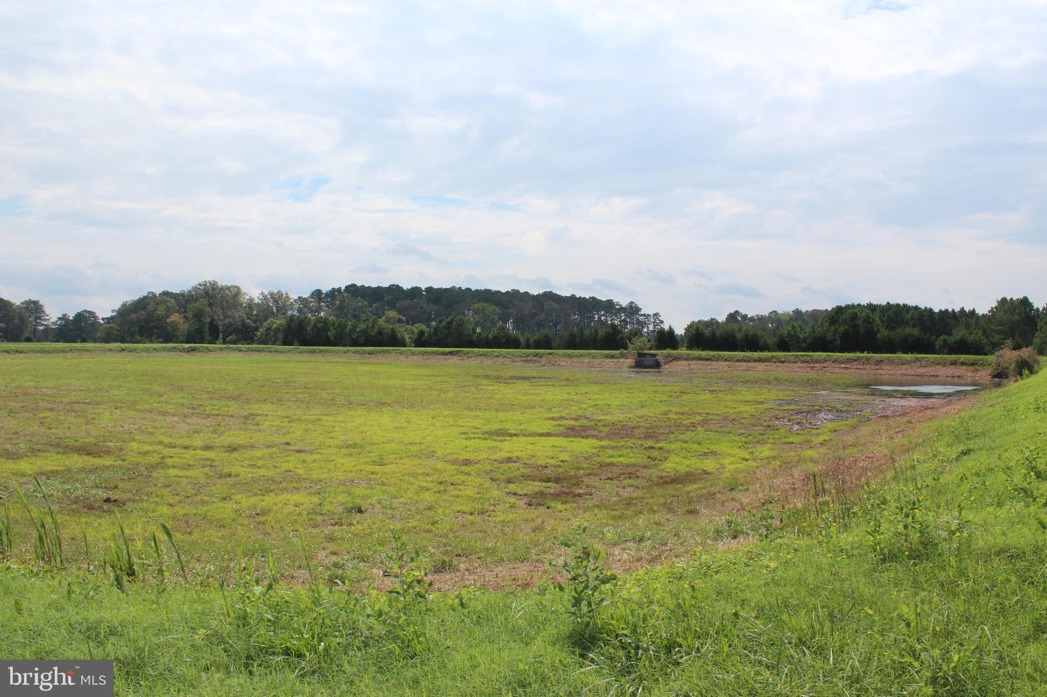 10674 Anderson Road Princess Anne, MD 21853 - Photo 21 of 35 Waterfowl Impoundments