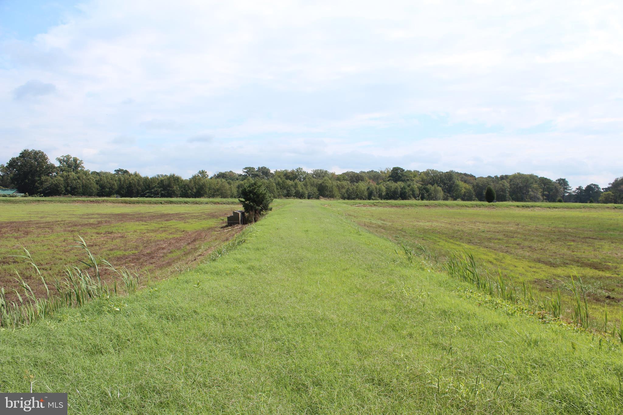 10674 Anderson Road Princess Anne, MD 21853 - Photo 22 of 35 8 Foot high Berms/Roads around Impoundments