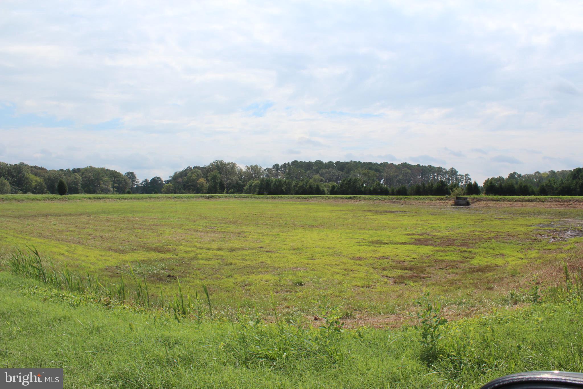 10674 Anderson Road Princess Anne, MD 21853 - Photo 23 of 35 Waterfowl Impoundments