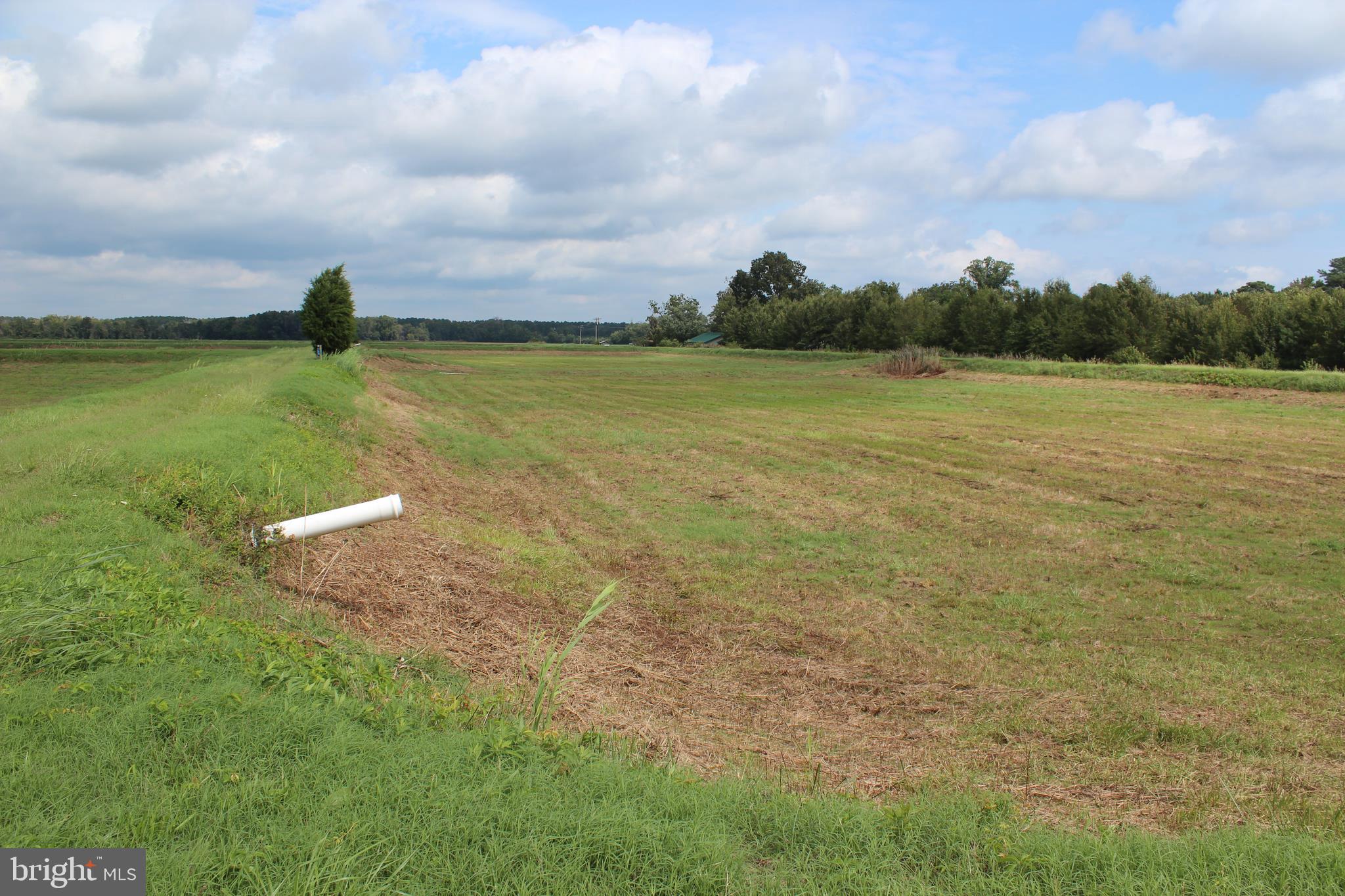 10674 Anderson Road Princess Anne, MD 21853 - Photo 24 of 35 Waterfowl Impoundments