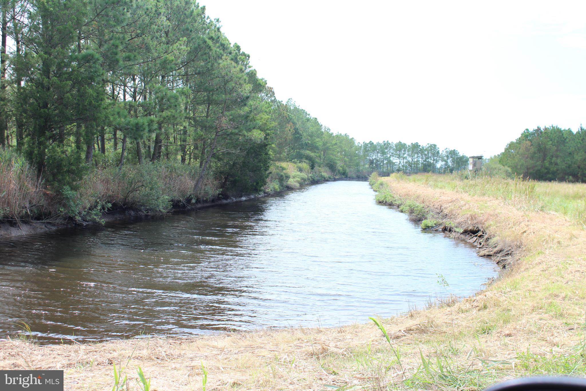 10674 Anderson Road Princess Anne, MD 21853 - Photo 4 of 35 Canal to Manokin River