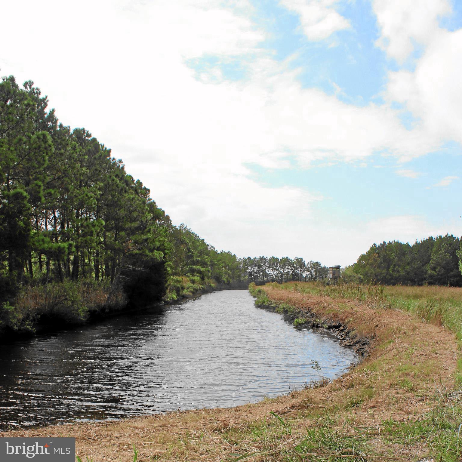 10674 Anderson Road Princess Anne, MD 21853 - Photo 5 of 35 Private Canal & Boat Ramp to the Manokin River