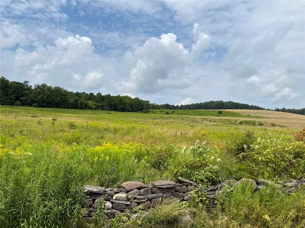 $395,000 | 0 Route 28 Meredith Ny 13753, Meredith, NY 13753