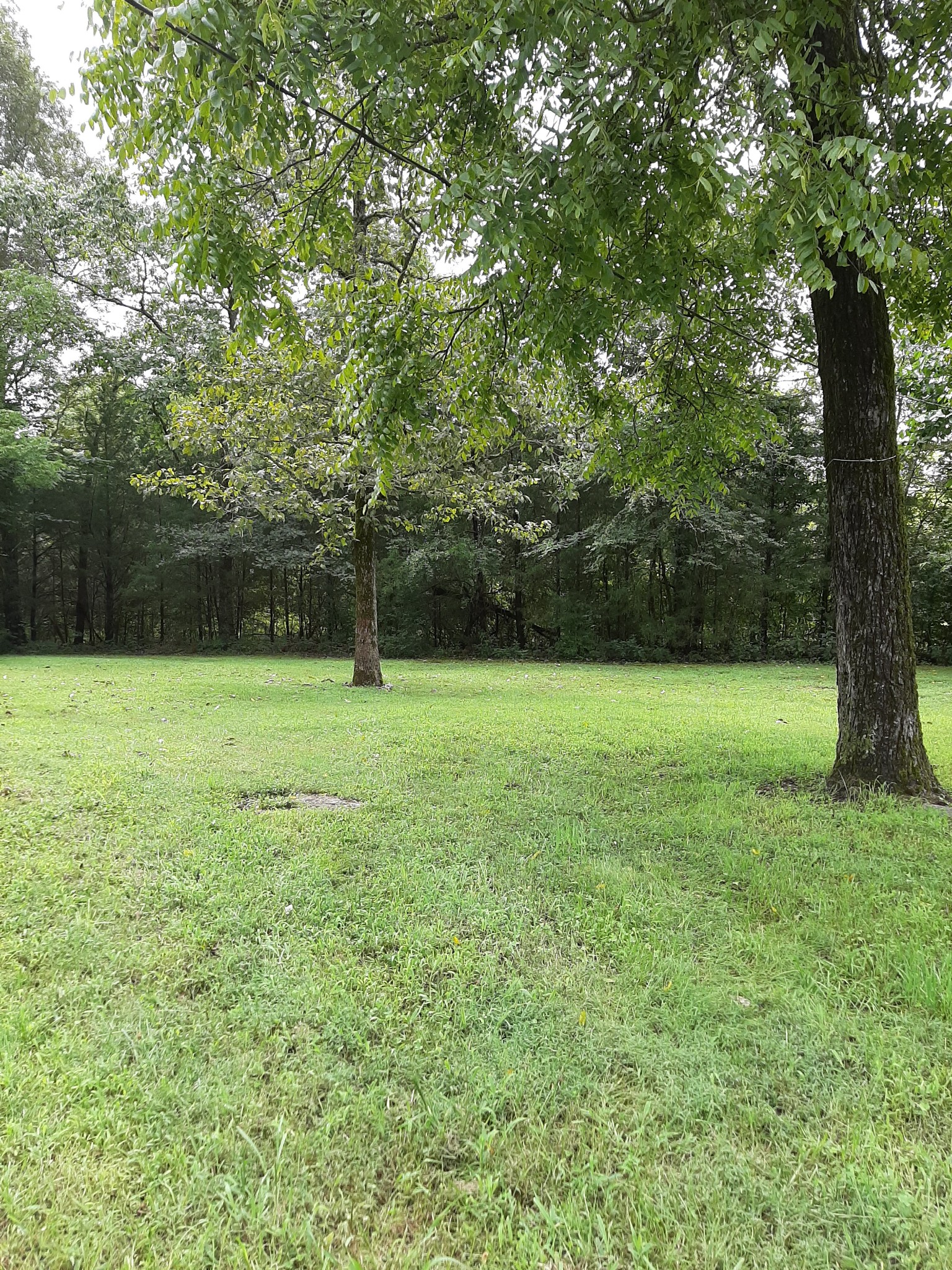 683 Canoe Branch Road Castalian Springs, TN 37031 - Photo 3 of 26
