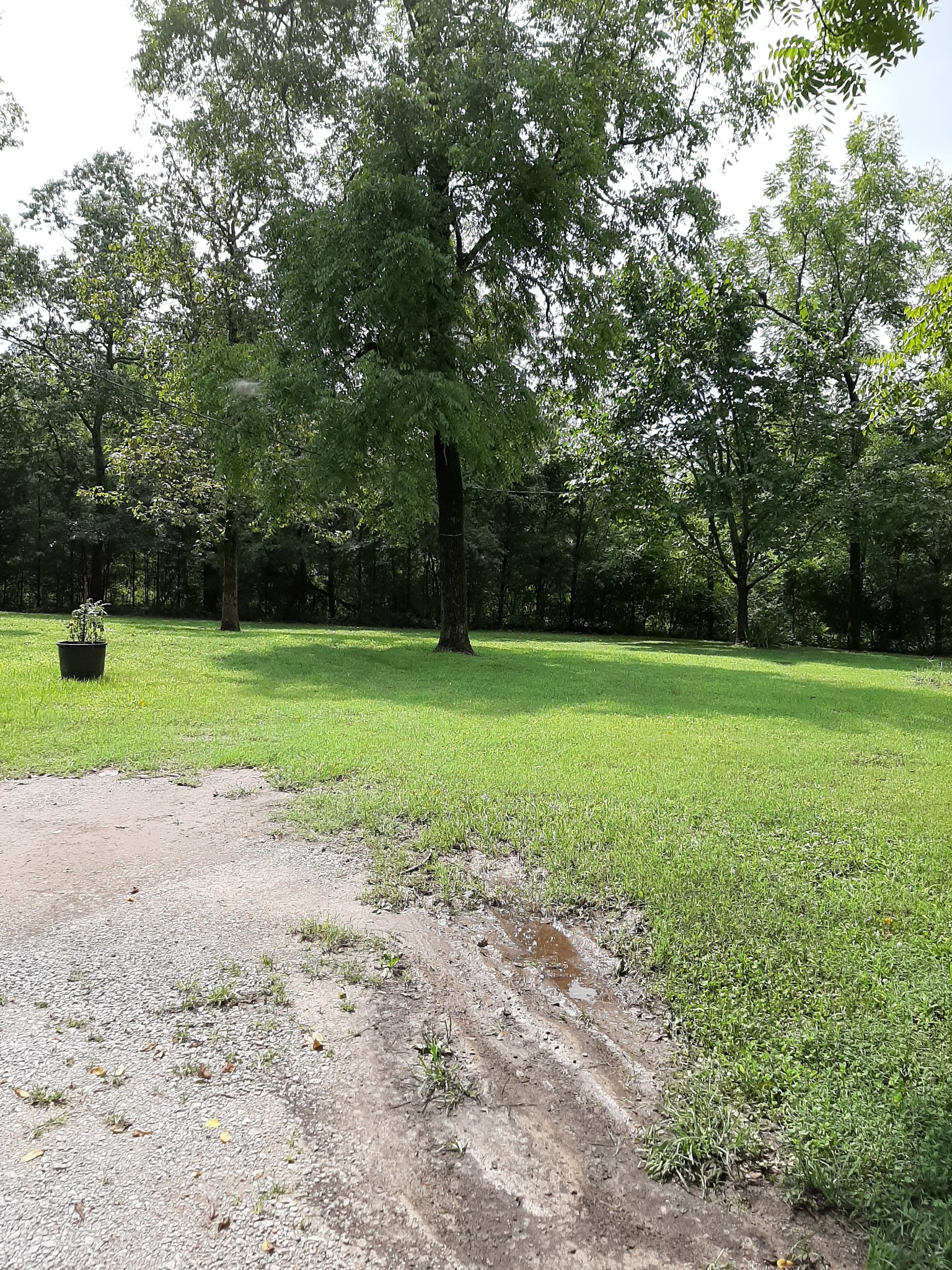 683 Canoe Branch Road Castalian Springs, TN 37031 - Photo 4 of 26