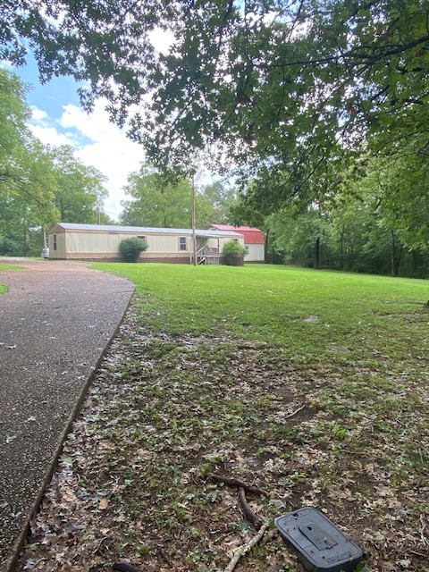 683 Canoe Branch Road Castalian Springs, TN 37031 - Photo 8 of 26