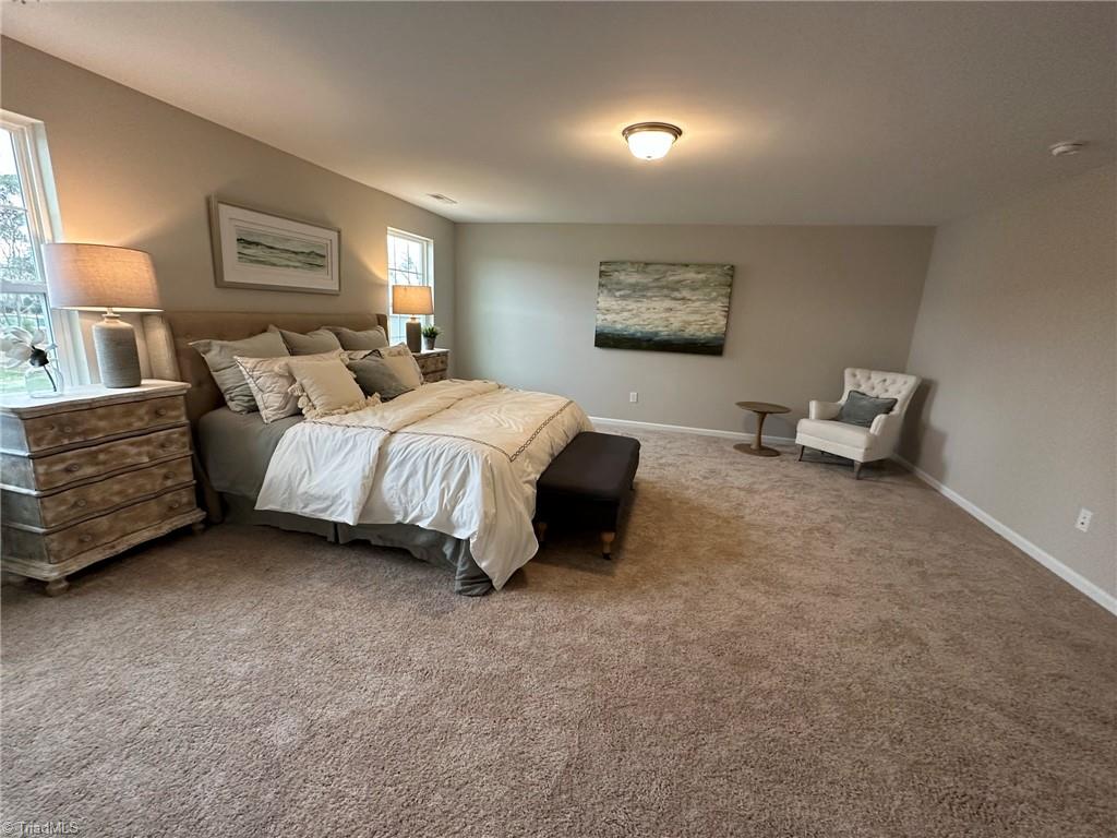 3219 Alyssa Way High Point, NC 27265 - Photo 21 of 37 Similar Representation