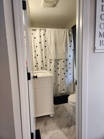 a bathroom with a shower toilet and a sink