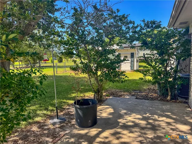 a view of a yard with plants and trees