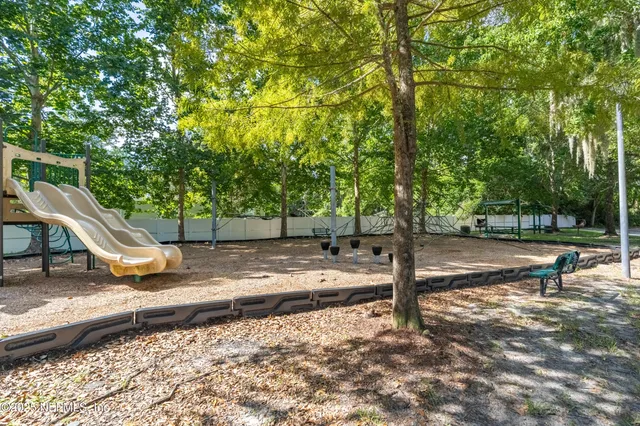 a view of a park with large trees