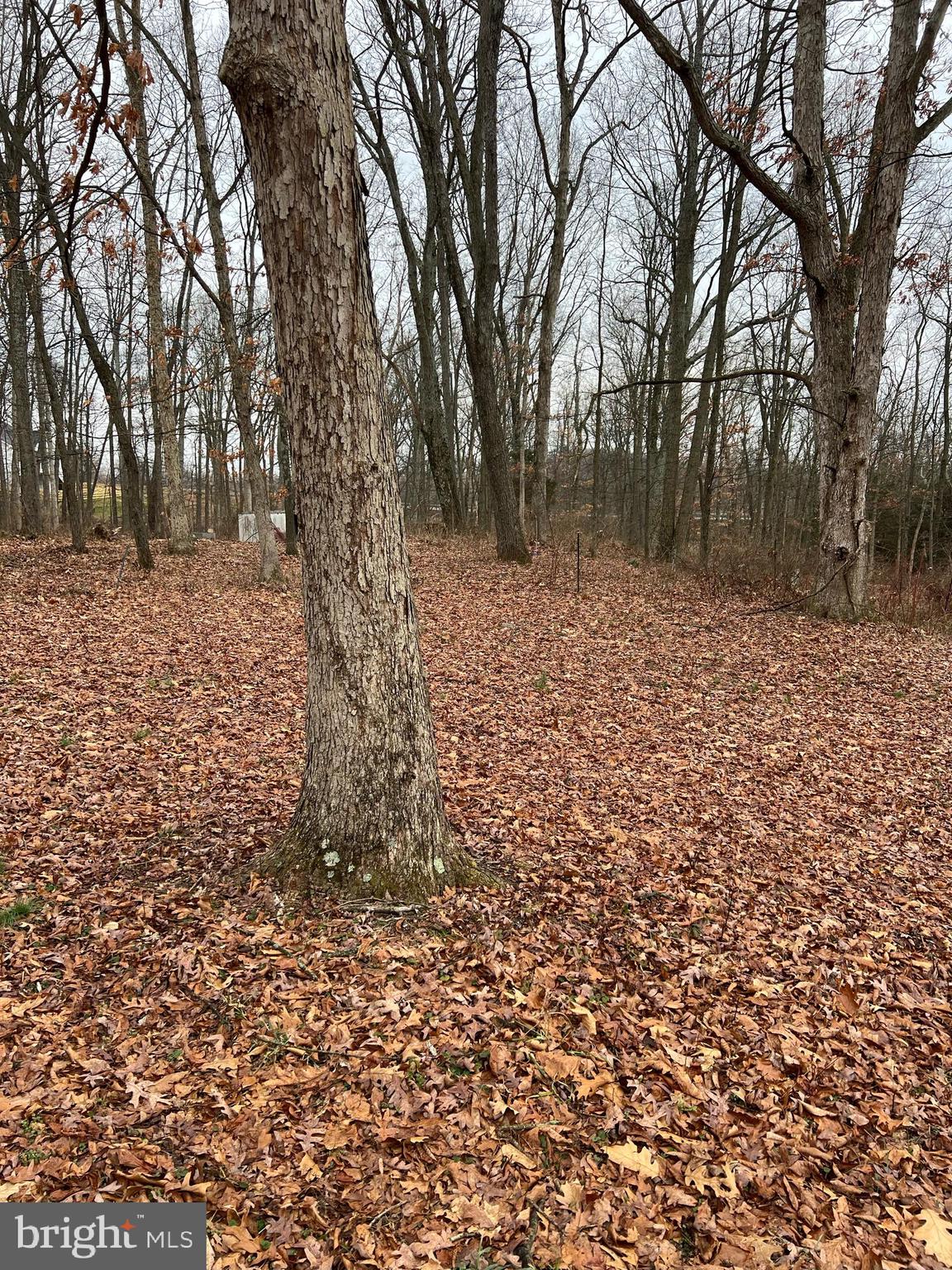 11792 Green Valley Road Union Bridge, MD 21791 - Photo 5 of 12