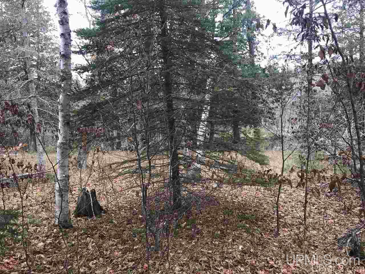 Tbd Off River Road, Unit 2 Hermansville, MI 49847 - Photo 24 of 34