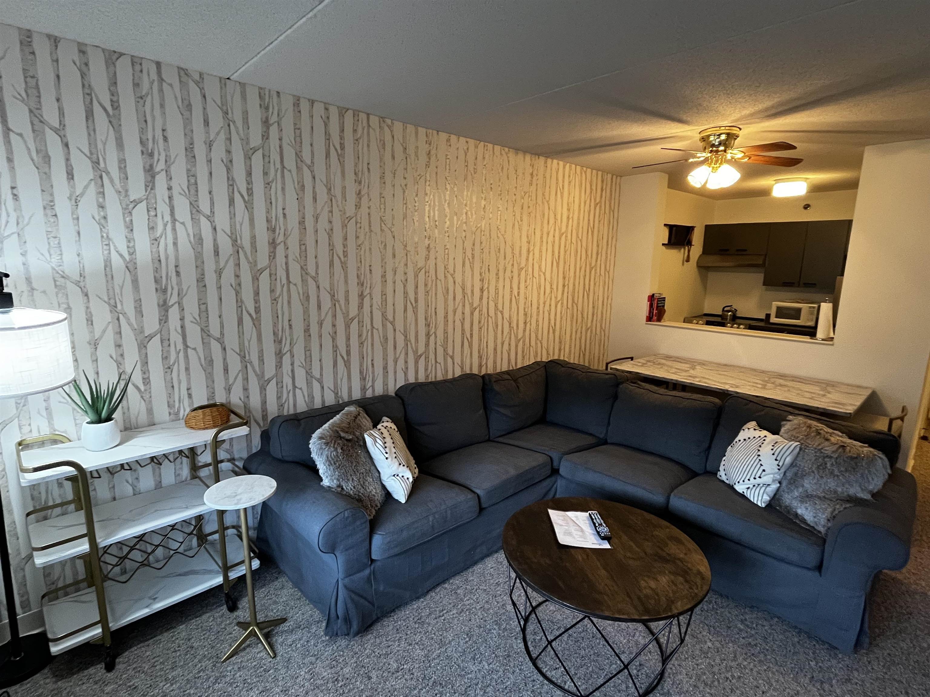 28 Packard's Road, Unit 336 Waterville Valley, NH 03215 - Photo 8 of 17